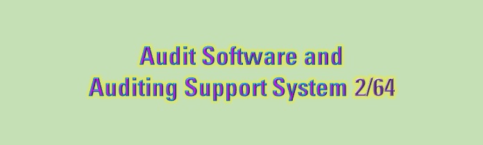 Audit Software and Auditing Support System
